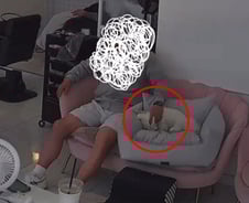 [더영상] 강아지 목 조른 목사 "잘못 없다" 뻔뻔…공중서 멈춘 중국 놀이기구