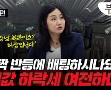 "강남 집값 뛰던데 우리 집도?"…속지말라는 감정평가사, 왜?[부릿지]
