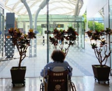 "췌장암 0.5㎝ 커지면 수술하기로 했는데…" 울먹인 보호자 [르포]