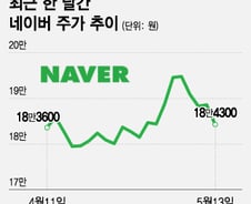 네이버 주가 2% 하락, 목표주가 '하향'… 라인야후 악재 본격 반영?