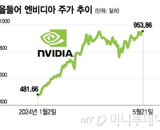 엔비디아, 실적 기대 높지만…주가 하락해도 단기에 그칠 것[오미주]