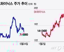 SK하이닉스 주가 40% 올랐는데, 삼성전자는…HBM에 엇갈린 희비