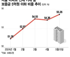 "5억 딱 맞춰 전세 올리자"…'신생아 특례' 신혼부부 몰리니 생긴 일