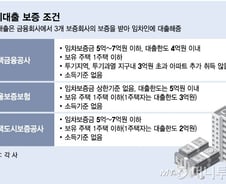 '서민대출' 맞아? 억대 연봉자 10억원 강남 전세도 "승인"