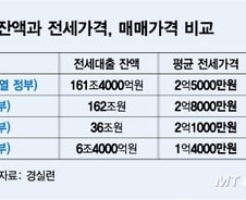 "갭투기 수단 악용"…전세대출 5억도 '척척', 집값 상승 부추긴다
