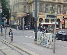 [우보세]비엔나 황색등과 시멘트 대체재