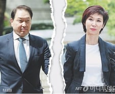 "법적 안정성 흔드는 징벌적 재산분할"…최태원 3심 더 뜨거워진다