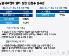 소각하고 싶어도 못한다...'지분제한'에 은행주 밸류업도 '반쪽'