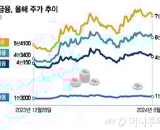 "예금 금리보다 배당률이 더 좋네"…밸류업 바람 탄 은행주
