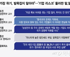 전문가들 "투자·대중관계 위험 수준…발등에 불 꺼야"