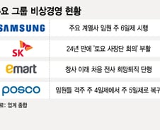 임원들 주6일 근무·희망퇴직 칼바람…'리스크 시대' 기업들 비상경영