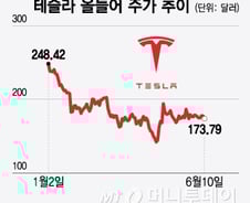 테슬라, 13일 머스크 보상안 표결 결과…부결시 주가 5~7% 하락 전망[오미주]