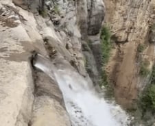 [더영상]중국, 폭포마저 짝퉁? 황당 해명…뉴스 생방송 직전 새가 뒤통수 '퍽'