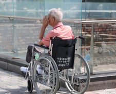 "우린 최고 의학교육자" 외친 서울대병원 교수들 "안 급하면 동네 가세요"