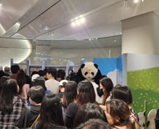 푸바오 신드롬, 팝업 매장으로…"30만원 써" 150종 굿즈에 북적[르포]