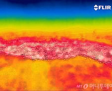 [기자수첩]햇볕 아래 쓰러지는 근로자 없는 여름돼야