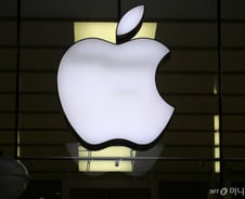 [IT썰]애플, 메타와 AI 제휴 거절한 지 오래