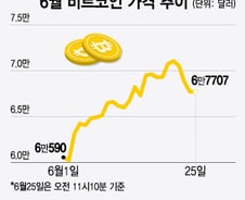 "악, 내 돈" 밤잠 설친 코인 개미들…9000만원 붕괴, 더 빠질까