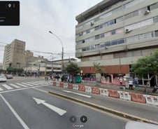 [IT썰] '구글 스트리트 뷰'로 떠돌이 개 800마리 찾았다