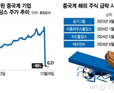 4배 뛴다던 중국주식, 내가 사니 90%빠져…"2억 날렸어요"