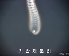 해설과 함께 읽는 이번 주 국제정세 [PADO]