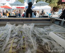 온라인서 도매 수산물 거래 시작…축구장 3800개 규모 김 양식 개발