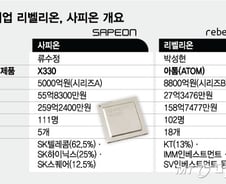 [단독]'리벨리온·사피온' 합병 실사 잠정 중단…합병비율 등 이견