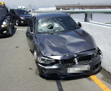 "오 역시 BMW" 시속 131㎞ 질주하다 쾅…피해자 의식불명, 처벌은 겨우[뉴스속오늘]