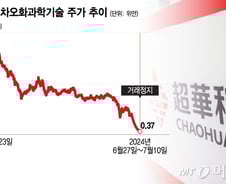 '-96%' 충격의 주가…"70원짜리로 전락" 골드만도 물린 '이 주식'