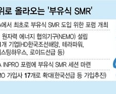 [단독]HD한국조선, 웨스팅하우스 '러브콜'…떠오른 '해상 SMR'