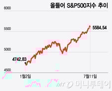 간만에 AI 대형주 하락…매수 기회일까[오미주]