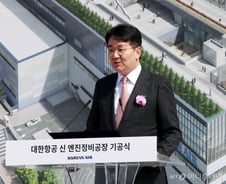 '매서운 겨울' 가고 메가캐리어 탄생…조원태 "통합은 성장동력"