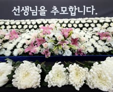 [단독]민주당, '서이초 특별법' 당론 채택 검토..."교권 회복해야"