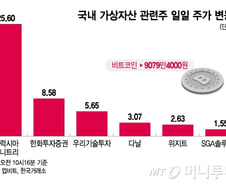 "다시 9000만원, 지금 살까"…트럼프가 띄운 비트코인, 관련주도 강세