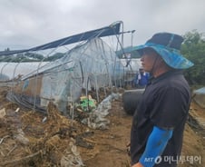 1억 들인 하우스, 엿가락처럼 휘어…"들깨밭이 갯벌 됐다" 눈물[르포]