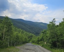 석탄 싣고 달리던 '이 길'에 9천명 몰렸다…폐광촌이 '핫플' 된 비결[르포]