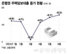 DSR 연기하며 금리정책 '엇박자' 비판받은 금융당국, 이유는?