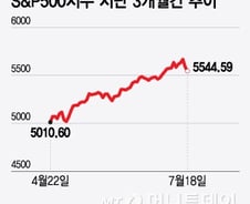계절적 약세 vs 버블 붕괴 조짐…"성급한 저가 매수 자제해야"[오미주]