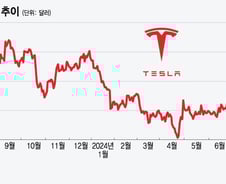 테슬라, 오르던 주가에 찬물…실적 악화에 새로운 촉매도 없어[오미주]
