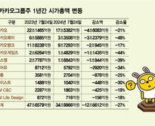"1년 존버했는데 반토막" 아우성…카카오그룹주 시총 12.6조 날아갔다