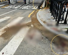 [단독]일본도에 찔린 몸 이끌고 "신고 좀" 외쳤지만…은평 살인사건 비극