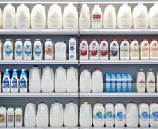 "유익균까지 몽땅 다 죽였다"…값싼 멸균 수입우유의 반전