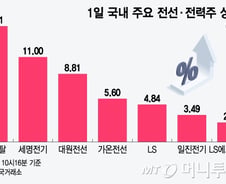 한동안 시들하더니 다시 날았다…하루 만에 15% '훌쩍' 이 종목