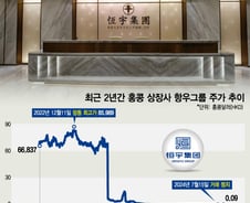 한국인 10억원어치 '줍줍'했는데…89% 폭락→15원짜리 휴지조각 됐다