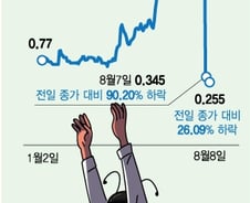 "순식간에 90% 대폭락" 한국인 몰려가 산 홍콩 주식이 또…