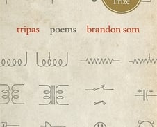 '빛나고' 싶었던 그대에게: 시인이 바라보는 과거 [PADO]