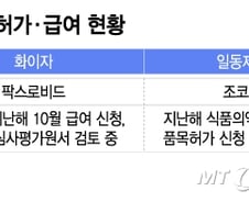 여기저기 '콜록' 코로나 또 난리…'70만원' 치료제, 급여 등재 걸림돌은