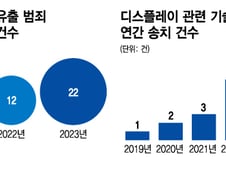 삼성에 이어 LG도…'중국기업 먹잇감'된 디스플레이 기술