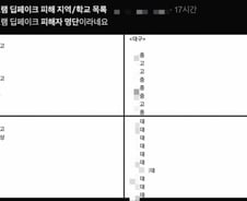 "설마 내 얼굴도"…딥페이크 '피해학교 명단'에 여학생들 공포