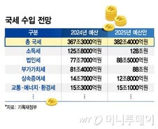 "내년 세수 사정 나아진다"…국세감면, 올해보다 6.6조 증가